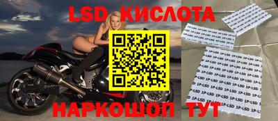 шишки Заводоуковск