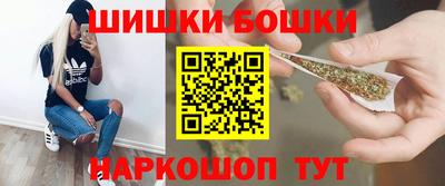 крисы Дубна