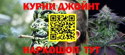 крисы Дубна