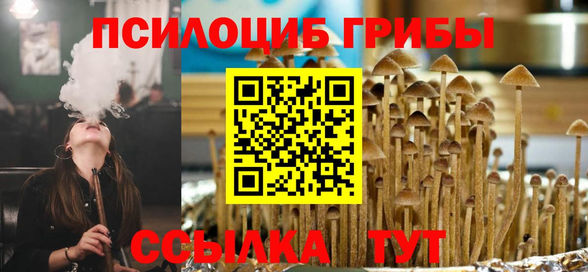 Псилоцибиновые грибы Psilocybe  цены   Минеральные Воды  Вход с VPN 